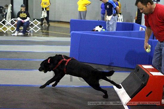 MCRD Unplugged Flyball Tournement<br />March 21st, 2010