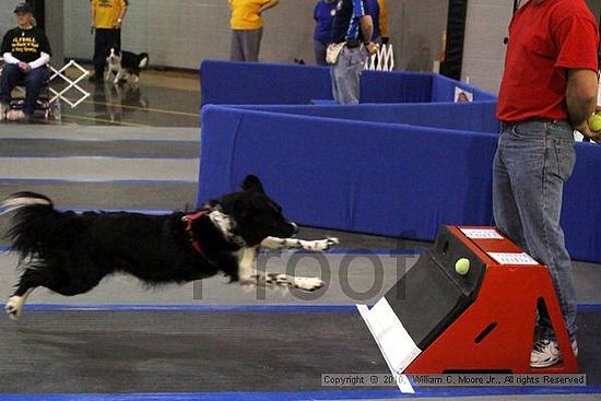 MCRD Unplugged Flyball Tournement<br />March 21st, 2010