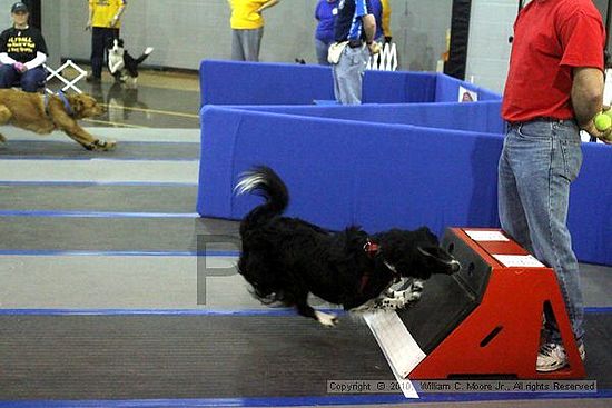 MCRD Unplugged Flyball Tournement<br />March 21st, 2010