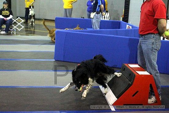 MCRD Unplugged Flyball Tournement<br />March 21st, 2010