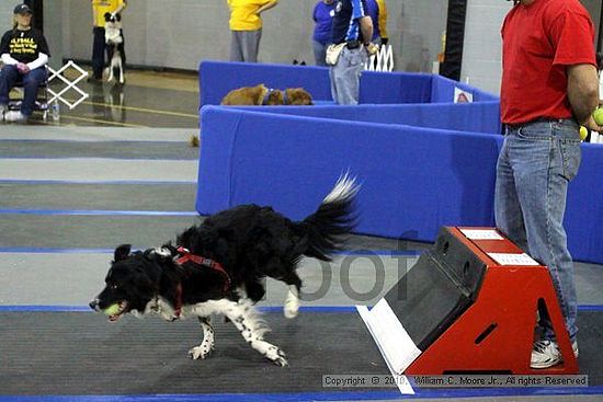 MCRD Unplugged Flyball Tournement<br />March 21st, 2010