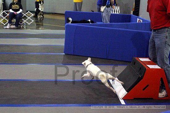 MCRD Unplugged Flyball Tournement<br />March 21st, 2010