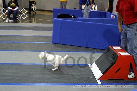 MCRD Unplugged Flyball Tournement<br />March 21st, 2010