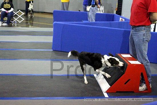 MCRD Unplugged Flyball Tournement<br />March 21st, 2010