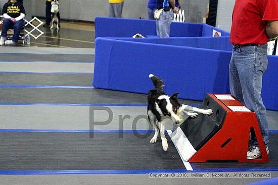 MCRD Unplugged Flyball Tournement<br />March 21st, 2010