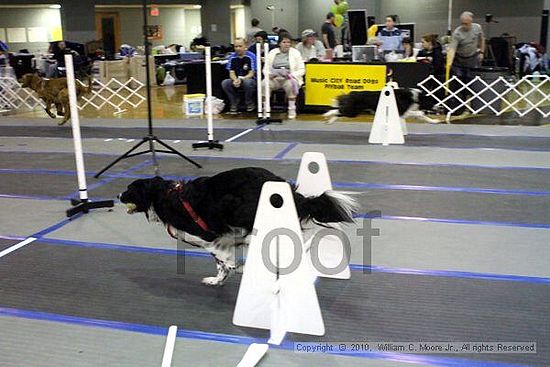 MCRD Unplugged Flyball Tournement<br />March 21st, 2010