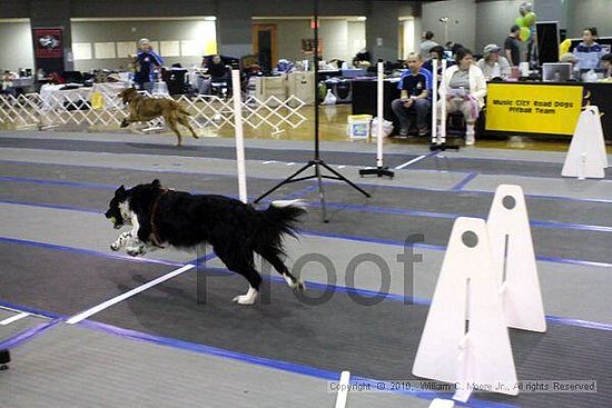 MCRD Unplugged Flyball Tournement<br />March 21st, 2010