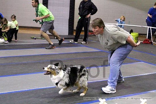 MCRD Unplugged Flyball Tournement<br />March 21st, 2010