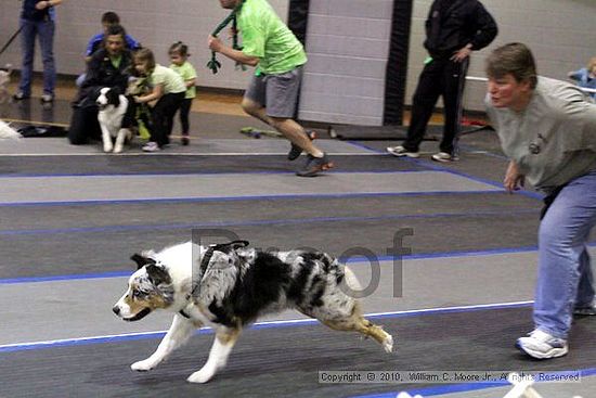 MCRD Unplugged Flyball Tournement<br />March 21st, 2010