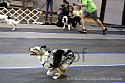 img_3317_thm.jpg