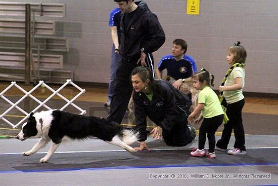 MCRD Unplugged Flyball Tournement<br />March 21st, 2010