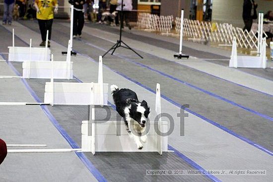 MCRD Unplugged Flyball Tournement<br />March 21st, 2010