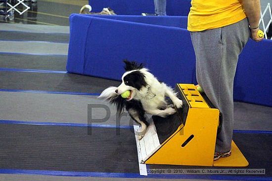 MCRD Unplugged Flyball Tournement<br />March 21st, 2010