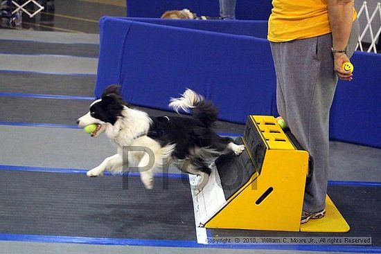 MCRD Unplugged Flyball Tournement<br />March 21st, 2010