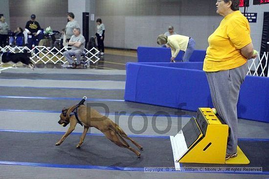 MCRD Unplugged Flyball Tournement<br />March 21st, 2010