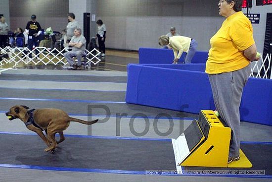 MCRD Unplugged Flyball Tournement<br />March 21st, 2010