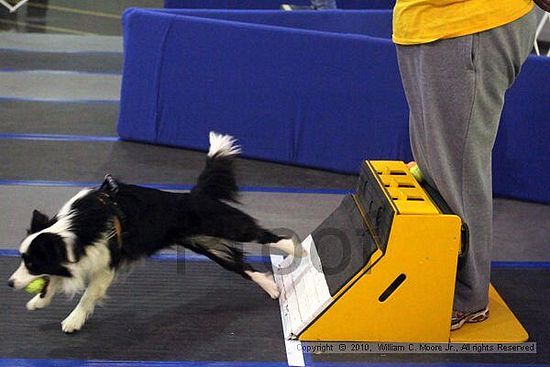 MCRD Unplugged Flyball Tournement<br />March 21st, 2010