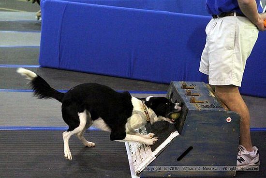 MCRD Unplugged Flyball Tournement<br />March 21st, 2010