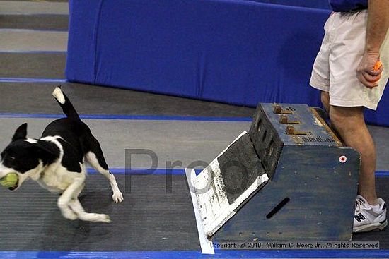 MCRD Unplugged Flyball Tournement<br />March 21st, 2010