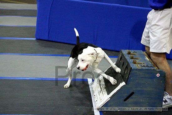 MCRD Unplugged Flyball Tournement<br />March 21st, 2010