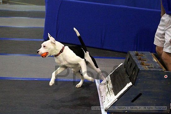 MCRD Unplugged Flyball Tournement<br />March 21st, 2010