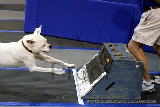 MCRD Unplugged Flyball Tournement<br />March 21st, 2010