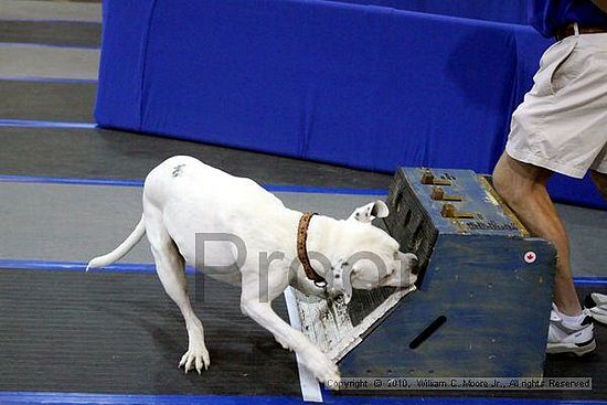 MCRD Unplugged Flyball Tournement<br />March 21st, 2010