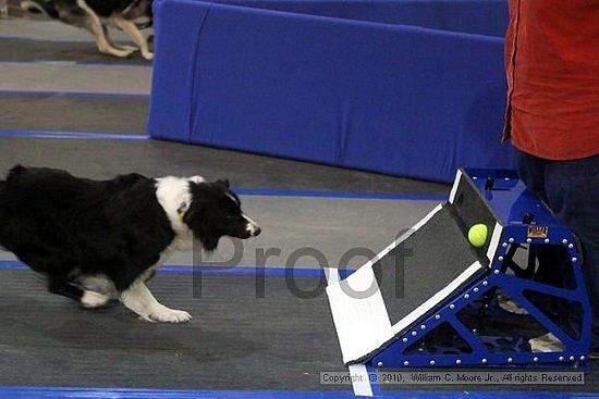 MCRD Unplugged Flyball Tournement<br />March 21st, 2010