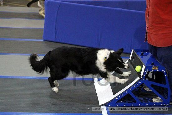 MCRD Unplugged Flyball Tournement<br />March 21st, 2010