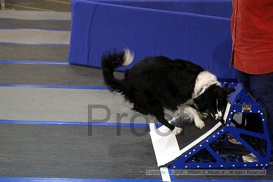 MCRD Unplugged Flyball Tournement<br />March 21st, 2010