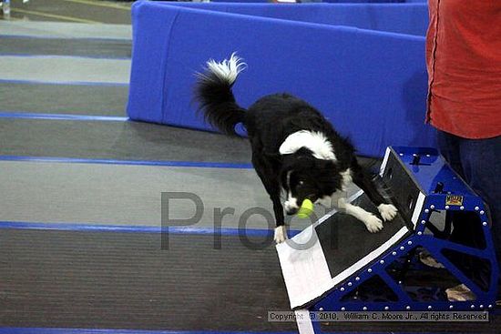 MCRD Unplugged Flyball Tournement<br />March 21st, 2010