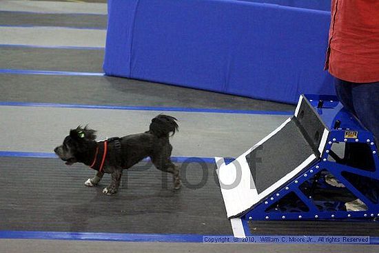 MCRD Unplugged Flyball Tournement<br />March 21st, 2010