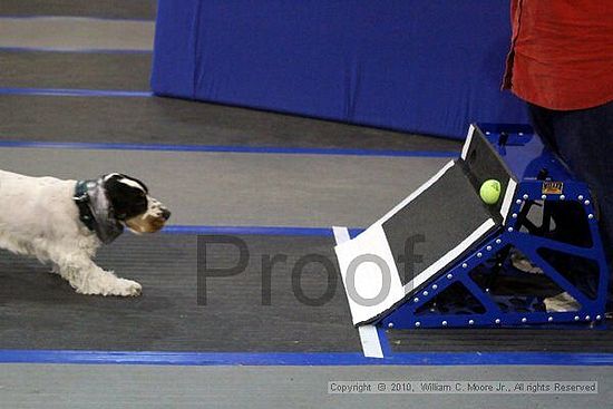 MCRD Unplugged Flyball Tournement<br />March 21st, 2010