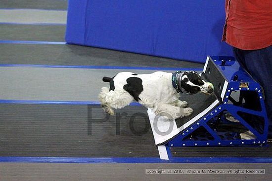 MCRD Unplugged Flyball Tournement<br />March 21st, 2010