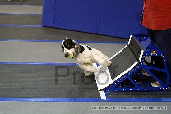 MCRD Unplugged Flyball Tournement<br />March 21st, 2010