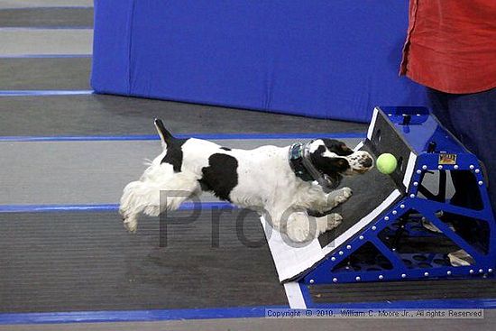 MCRD Unplugged Flyball Tournement<br />March 21st, 2010