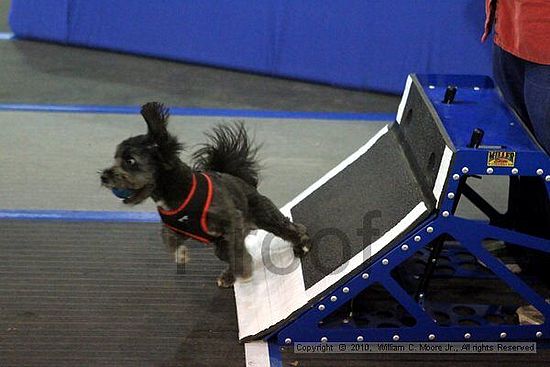 MCRD Unplugged Flyball Tournement<br />March 21st, 2010