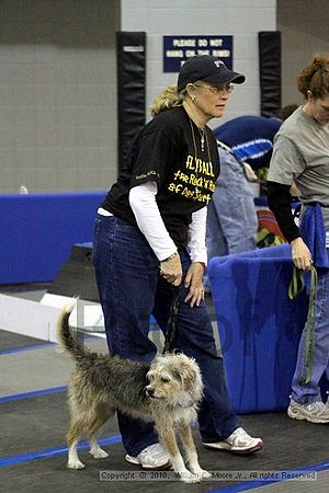 MCRD Unplugged Flyball Tournement<br />March 21st, 2010