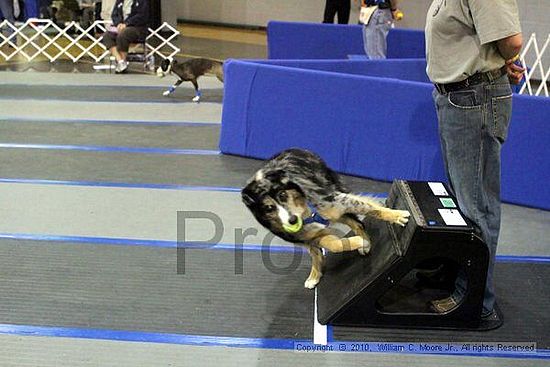 MCRD Unplugged Flyball Tournement<br />March 21st, 2010