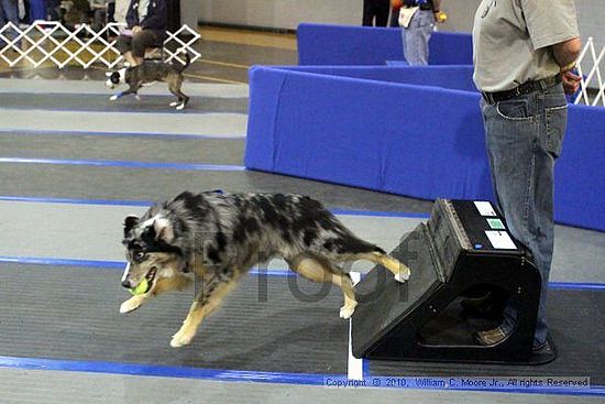 MCRD Unplugged Flyball Tournement<br />March 21st, 2010