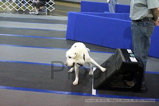 MCRD Unplugged Flyball Tournement<br />March 21st, 2010