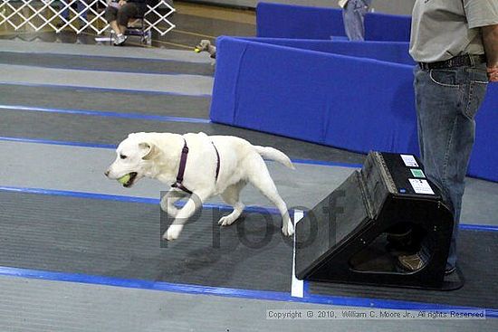 MCRD Unplugged Flyball Tournement<br />March 21st, 2010