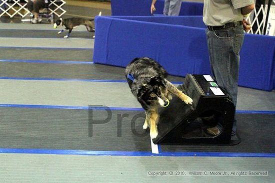 MCRD Unplugged Flyball Tournement<br />March 21st, 2010