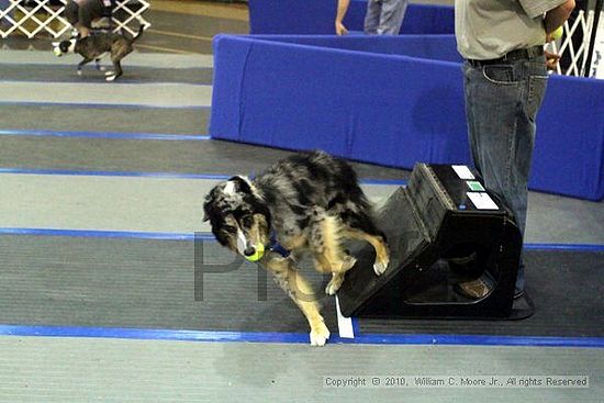 MCRD Unplugged Flyball Tournement<br />March 21st, 2010