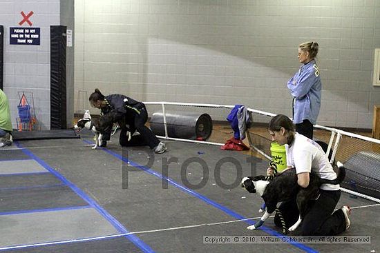 MCRD Unplugged Flyball Tournement<br />March 21st, 2010