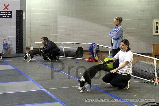 MCRD Unplugged Flyball Tournement<br />March 21st, 2010