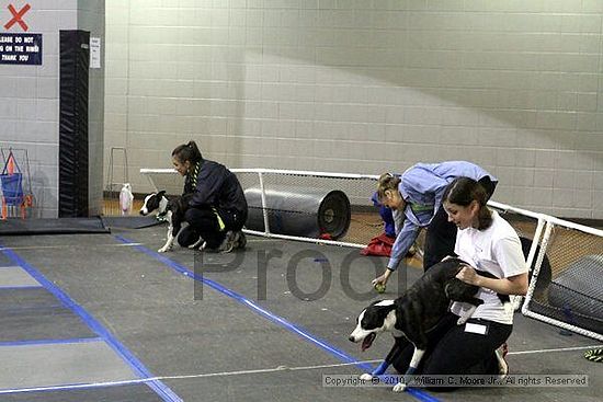 MCRD Unplugged Flyball Tournement<br />March 21st, 2010