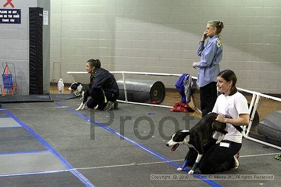 MCRD Unplugged Flyball Tournement<br />March 21st, 2010