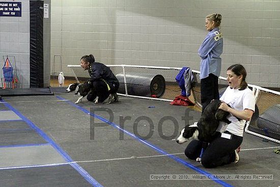 MCRD Unplugged Flyball Tournement<br />March 21st, 2010