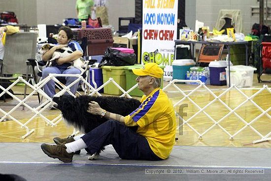 MCRD Unplugged Flyball Tournement<br />March 21st, 2010